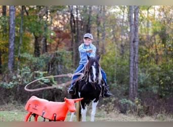 American Quarter Horse, Ruin, 10 Jaar, 127 cm, Tobiano-alle-kleuren