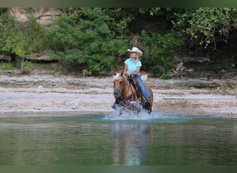 American Quarter Horse, Ruin, 10 Jaar, 142 cm, Palomino