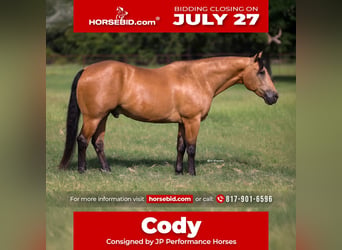 American Quarter Horse, Ruin, 9 Jaar, Buckskin