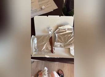 American Quarter Horse, Stute, 11 Jahre, 151 cm, Palomino