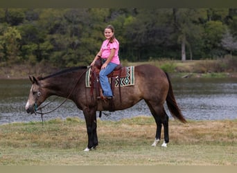 American Quarter Horse, Stute, 13 Jahre, 152 cm, Buckskin
