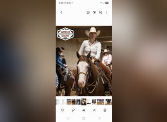 American Quarter Horse, Stute, 4 Jahre, 152 cm, Rotfuchs