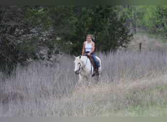 American Quarter Horse, Stute, 6 Jahre, 152 cm, Palomino