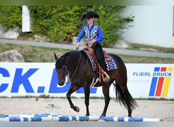 American Quarter Horse, Stute, Fohlen (02/2026), Buckskin