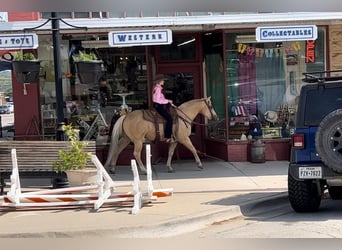 American Quarter Horse, Wałach, 8 lat, 142 cm, Izabelowata