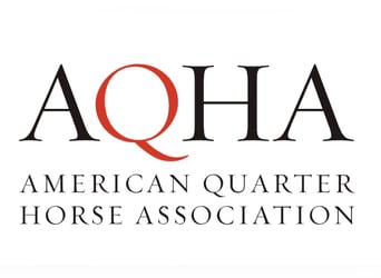 American Quarter Horse, Wallach, 2 Jahre, Roan-Bay