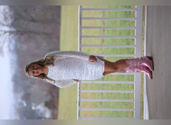 American Quarter Horse, Wallach, 7 Jahre, 157 cm, Fuchs