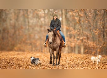 Andaluces Mestizo, Caballo castrado, 7 años, 160 cm, Buckskin/Bayo