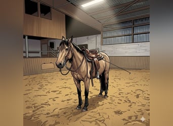 Andalusier, Stute, 6 Jahre, 159 cm