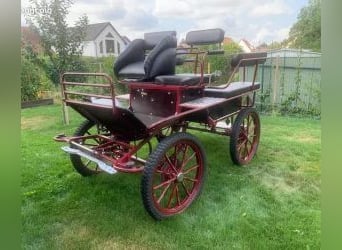 Andere Rassen Mix, Ruin, 10 Jaar, 160 cm, Zwart