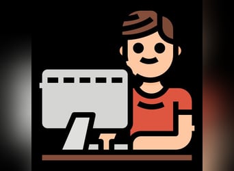 Anglo-Arab, Stallion, 16 years, 14,1 hh