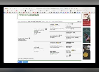 Anglo European Studbook, Gelding, 5 years, 16.1 hh, Grey