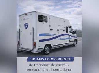 Transport et cours particuliers 95