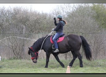 Transport et cours particuliers 95