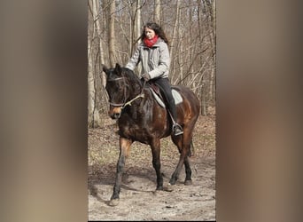 Transport et cours particuliers 95