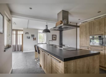 A beautiful location for horse happiness!