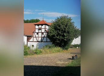 Ancien corps de ferme avec manoir et potentiel pour l'élevage de chevaux