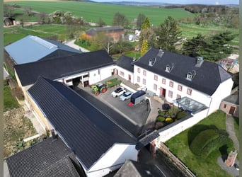 Ancien corps de ferme en carré avec installation équestre
