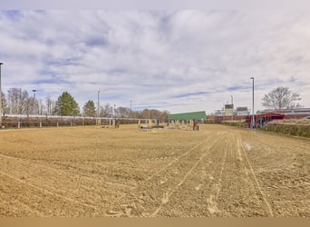 Centre équestre à Dannenberg (Elbe) en Basse-Saxe – ferme rénovée et maison d'habitation avec potent