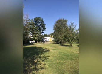Centre équestre à Kiel avec 6 appartements, proche de la plage, sans agence immobilière