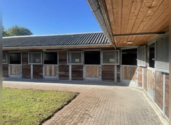 Centre équestre à Kiel avec 6 appartements, proche de la plage, sans agence immobilière