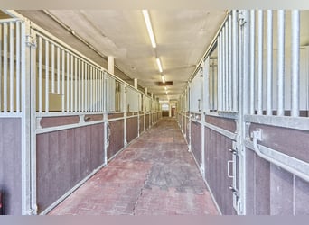 Centre équestre à vendre dans la région de Münster, NRW – Maison de campagne moderne, manège couvert