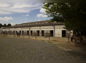 Centre équestre attrayant entre Montabaur et Limburg