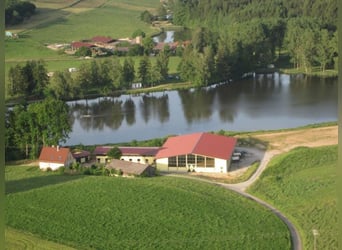 Centre équestre au bord du lac
