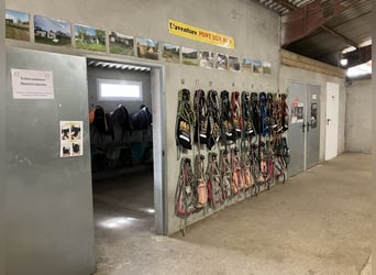 Centre équestre clés en main !