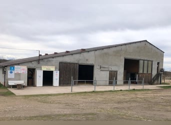 Centre équestre clés en main !