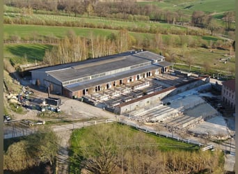 Centre équestre près de Dresde - Particulier