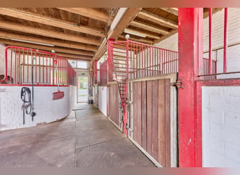Centre équestre près de Hanovre – 29 boxes pour chevaux, installations d’entraînement professionnell