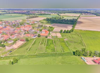 Centre équestre près de Wolfsburg avec espace pour environ 18 chevaux à vendre !