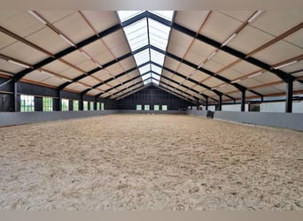 Centre équestre professionnel en Rhénanie-du-Nord-Westphalie