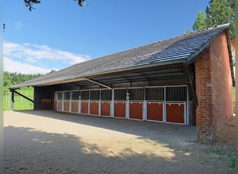 Centre équestre professionnel en Rhénanie-du-Nord-Westphalie