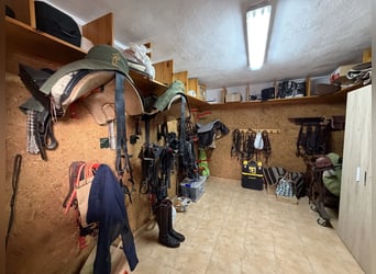 Centre hippique dans le nord de Castellón