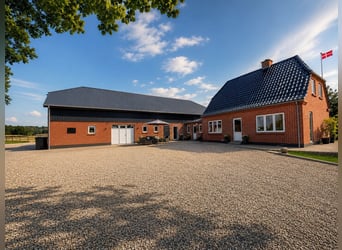 Charmante maison de campagne avec installations équestres haut de gamme dans le Jutland-du-Sud, situ