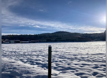 Charmante propriété équestre entre Stuttgart et le lac de Constance V11998