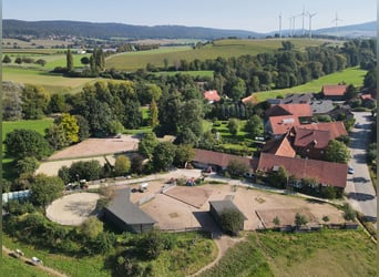 Charmantes Bauernhaus mit artengerechter Pferdehaltung und vielen weiteren Möglichkeiten