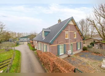 Complete equestrian accommodation