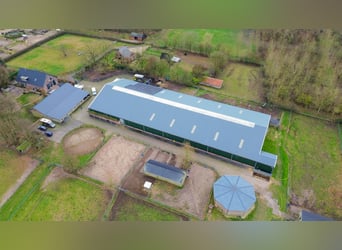 Complete equestrian accommodation
