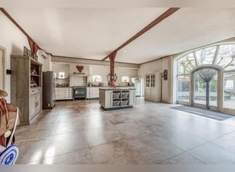 Complete equestrian accommodation
