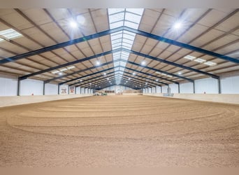 Complete equestrian accommodation