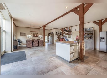 Complete equestrian accommodation