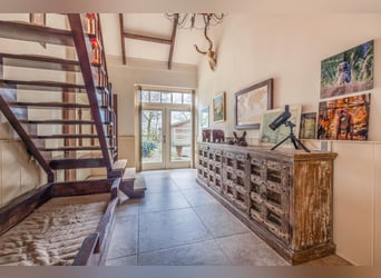 Complete equestrian accommodation