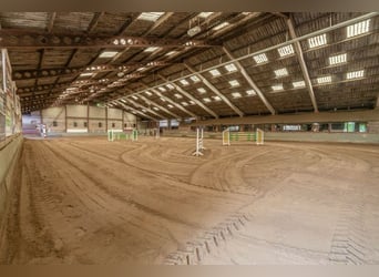 Découvrez une opportunité unique dans le monde des sports équestres !