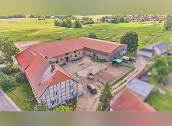Écurie à vendre près de Wolfsburg, pouvant accueillir environ 18 chevaux !