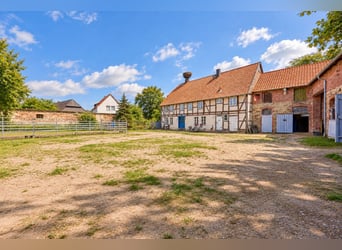 Écurie à vendre près de Wolfsburg, pouvant accueillir environ 18 chevaux !
