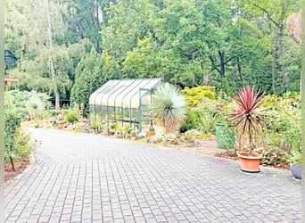 Écurie complète à domicile : propriété équestre de 7 hectares avec 4 boxes, espace pour 4 voitures d