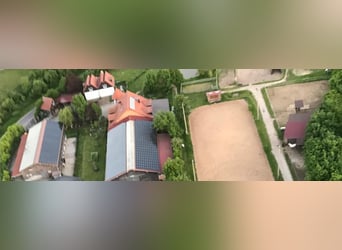 Écurie complète avec 15 paddocks-boxes, 8 places en paddock extérieur, manège et carrière de dressag